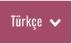 Türkçe  